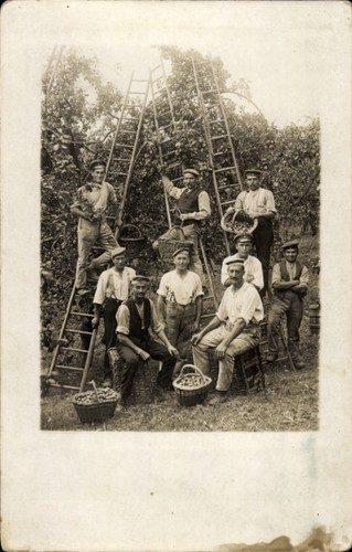 Foto pflücker - foto,