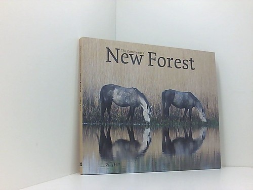 The commoners new - new, forest