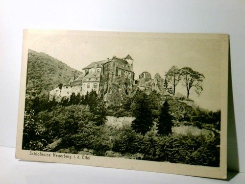 Schloßruine neuerburg - schloßruine, /