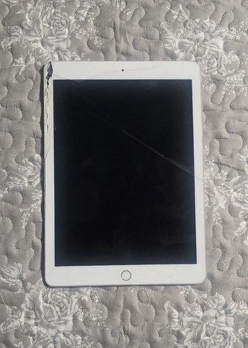 Apple ipad air defekt - apple,