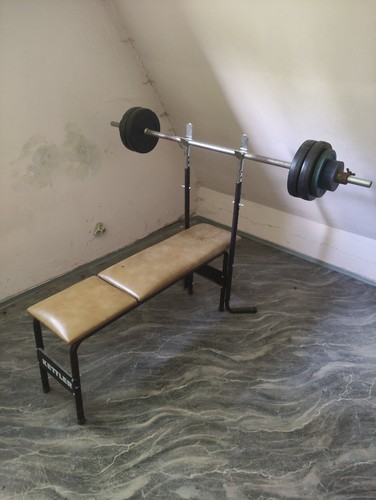Hantelbank mit 100kg - hantelbank, ca.