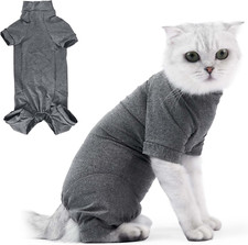 Katzenbody Nach Op Katzen Body