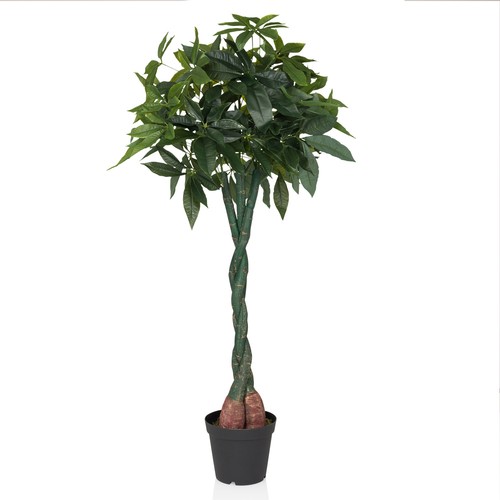 Kunstpflanze pachira aquatica - pachira,