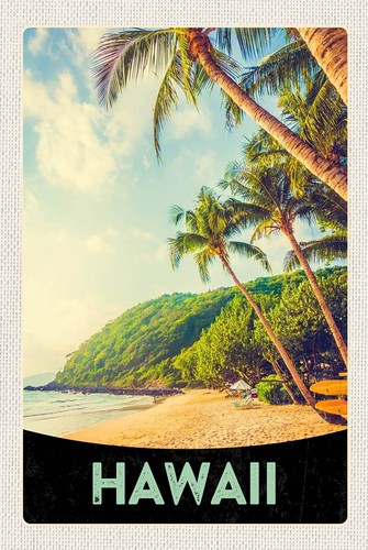 Holzschild 18x12 hawaii - cm,