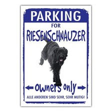 Riesenschnauzer Schnauzer
