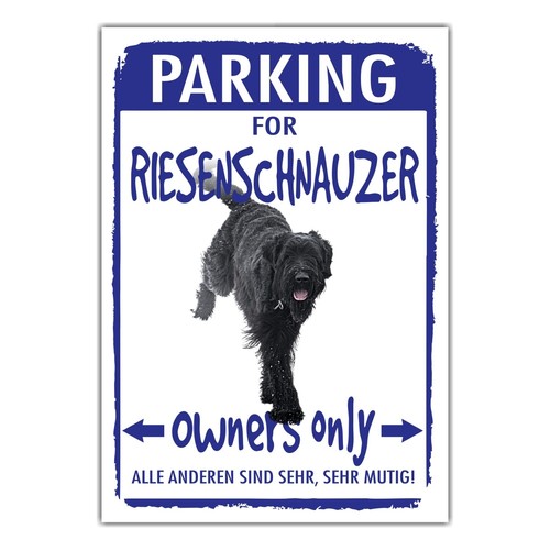Riesenschnauzer schnauzer - riesenschnauzer,
