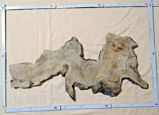 Olivenholz Olive  Rohling