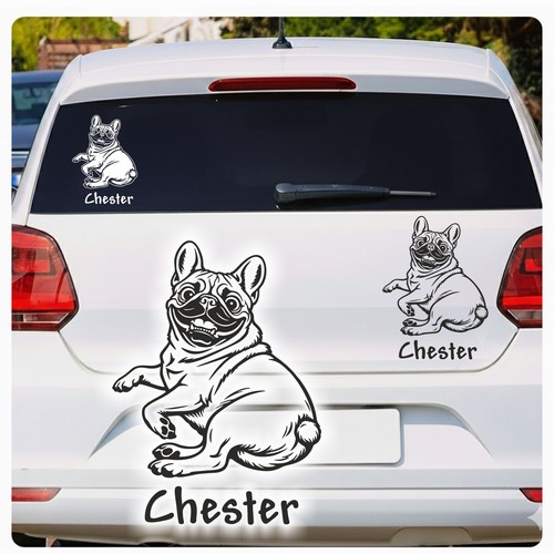 Französische bulldogge lustig - französische,