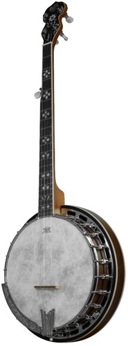 Barnes mullins banjo 5 - &,