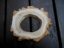 Baumscheibe Astscheibe