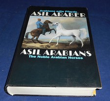 Arabiens edle pferde asil - arabiens,