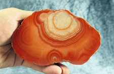 ? ? ? FIRST CLASS !!! ? ? ? XL Achat Dulcote, Schottland ? ? ?350