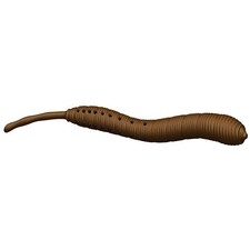 Dieter Eisele Wattwurm