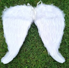 Engelsflügel 50x46 Feder