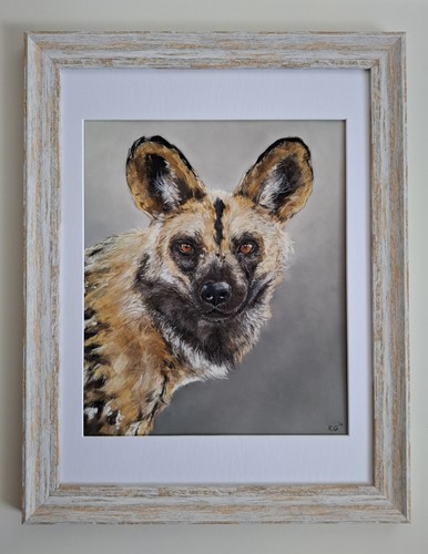 Original wildhund portrait - wildhund,