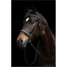 % Stübben Trense 1002 Hunter - schwarz - engl. RH - Gr. WB Extra-UVP €159,00 -NH