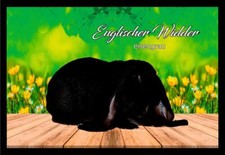 Fußmatte Schmutzfangmatte Kaninchen Englische Widder eisengrau F1483