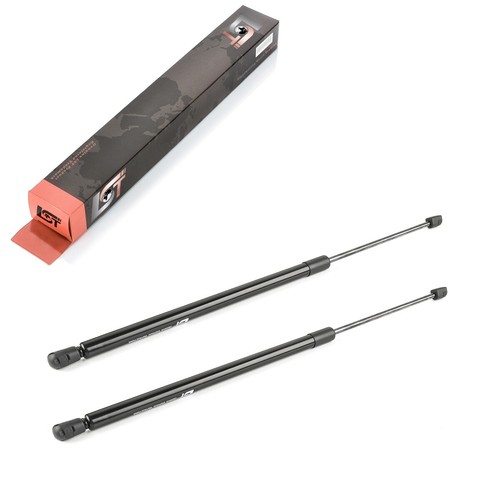 Gasfeder - 2x,