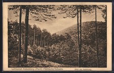 Falkenberg /Mark, Blick am Kammweg, Ansichtskarte 