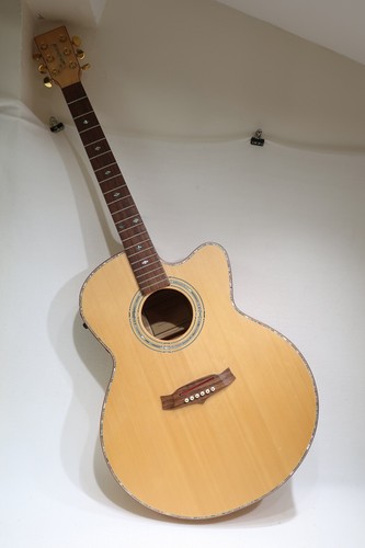 Tanglewood pro - tanglewood,