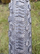 POINT DURO Wildlife Antelope