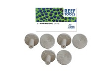 Fauna marin reef disc - fauna,