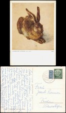 Ansichtskarte  Künstlerkarte: Gemälde Hase ALBRECHT DÜRER (1471-1528) 1954