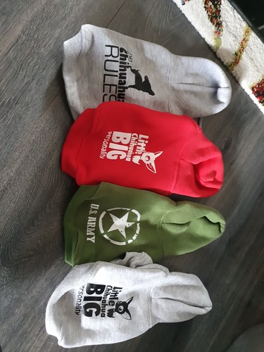 Chihuahua welpen paket - chihuahua, paket/