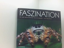 Faszination: Ein Jahr