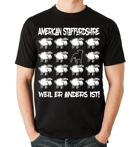 Black sheep american - sheep,