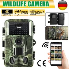 Wildkamera, 4K Video