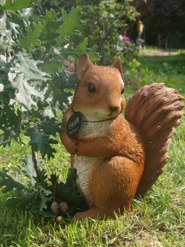 Eichhörnchen xxl deko - xxl, figur