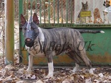 Stark Leder Hund Maulkorb