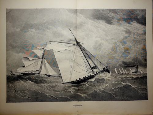 Segelwettfahrt 1886 holzstich - segelwettfahrt,