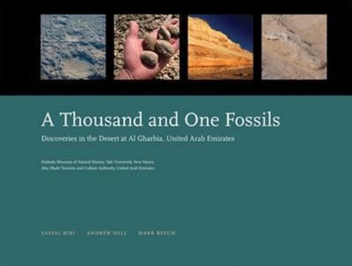 Thousand and one fossils - a,