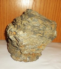 Großes Brandungsriff Trias 230 Mio Jahre alt  ? (T667)Schau Mal ! Kiste dazu ?