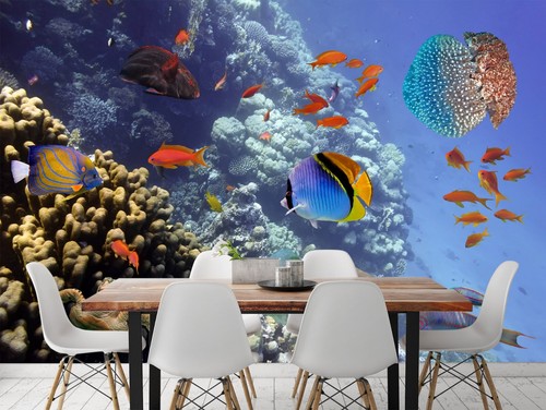 Ozean farbe fisch - fisch, q1532