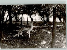 40095918 - 5592 Klotten