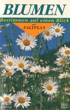 Blumen - Bestimmen auf einen