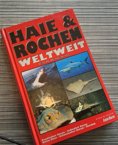 Tauchen - ⭐️⭐️⭐️,