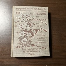 Les fleurs des montagnes von - fleurs, montagnes,