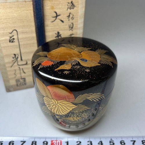 Japanische große natsume - große,