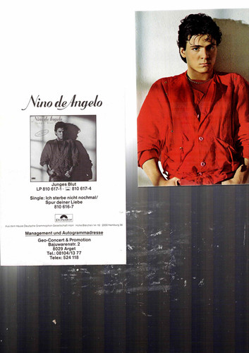 Nino angelo - nino,