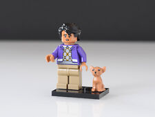 Lego Rajesh Raj Koothrappali und Cinnamon aus 21302 The Big Bang Theory idea017
