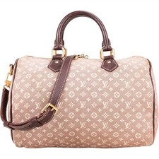 Louis Vuitton Monogram Mini