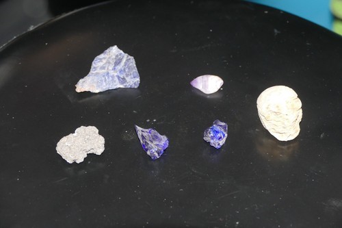 Setzkasten figuren muscheln - setzkasten,