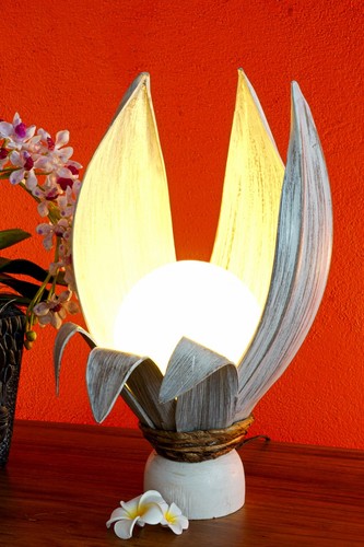 Kokosnuss tischlampe cm - kokosnuss, 50