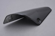 Auspuffschutz AKRAPOVIC aus