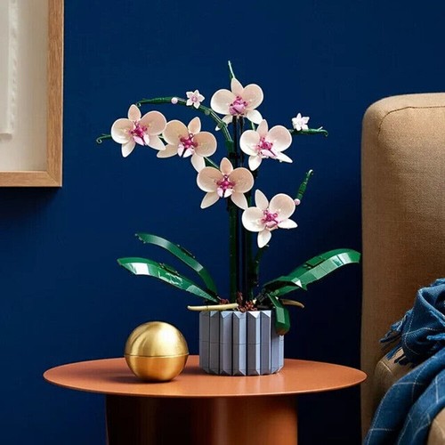 Blumenstrau pflanzen - blumenstrau?,