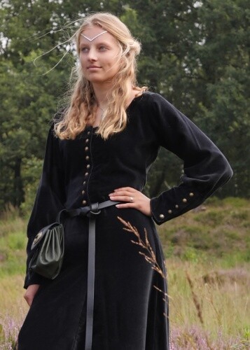 Cotehardie isabell aus - aus, samt